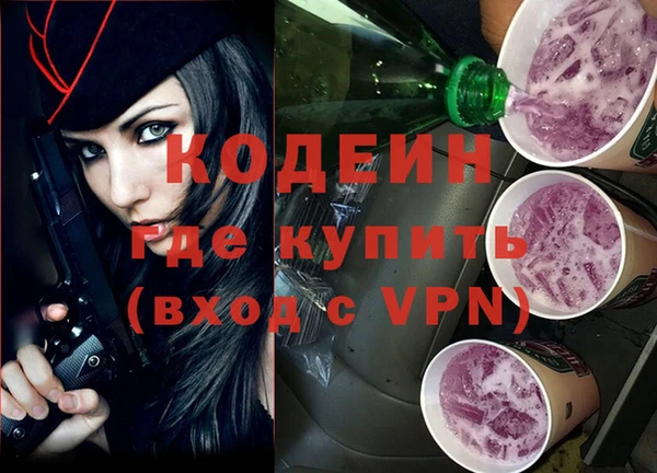 соль ск Вяземский