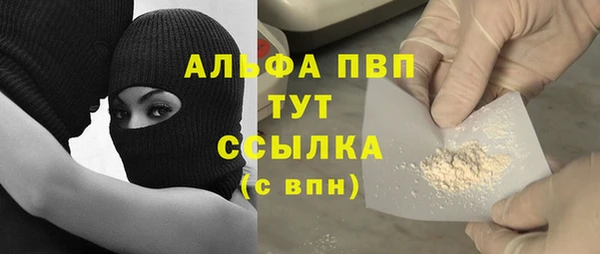 ГАЛЛЮЦИНОГЕННЫЕ ГРИБЫ Вязники